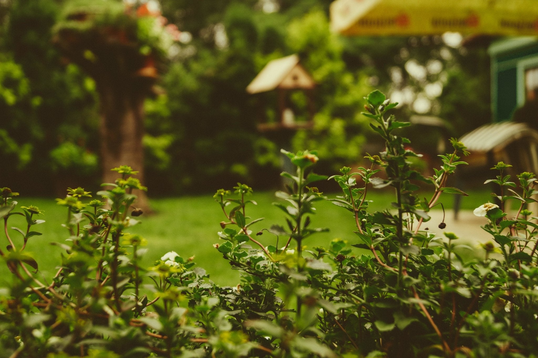 3 Fun Activities for the Backyard - Stonz