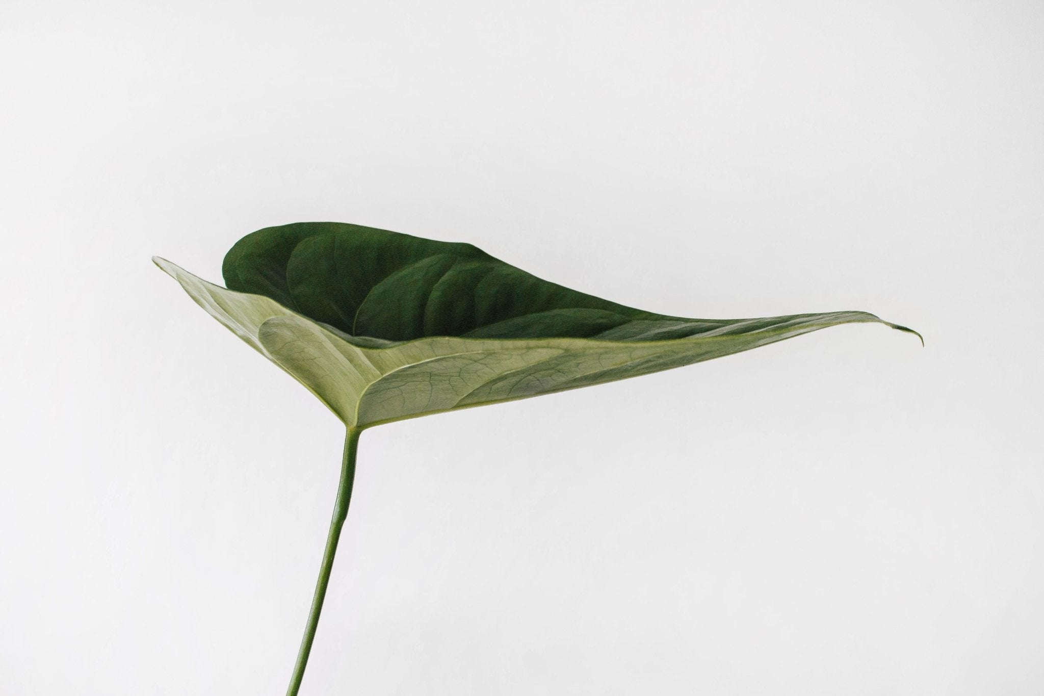 How Do I Teach My Kids About Sustainability? - Stonz