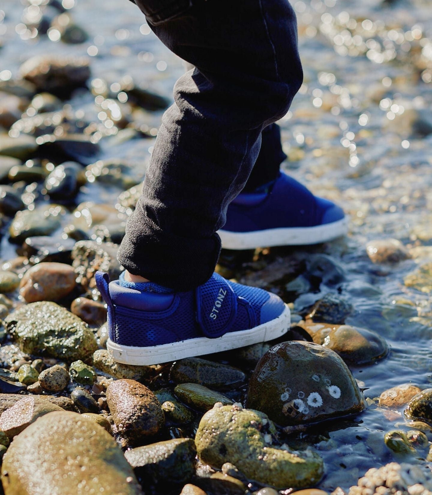  alt::Navy